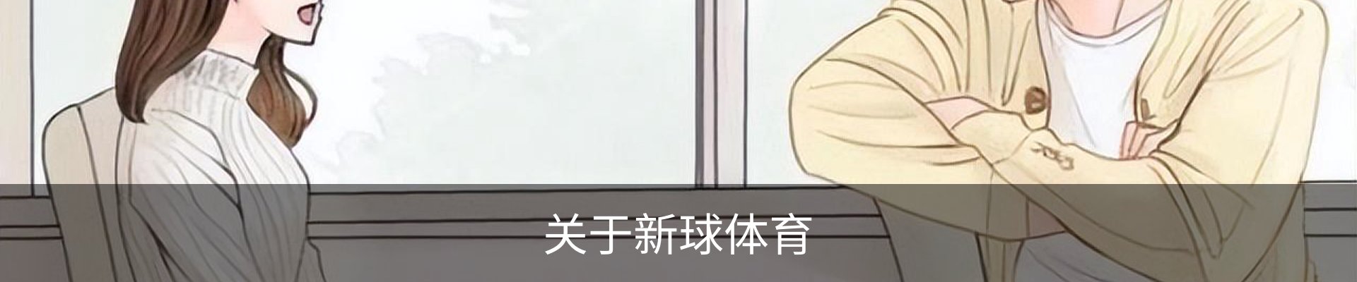关于新球体育